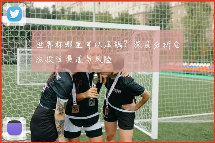 世界杯哪里可以压钱？深度分析合法投注渠道与风险