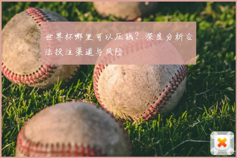 世界杯哪里可以压钱？深度分析合法投注渠道与风险