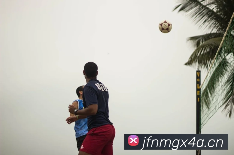 必一运动官网登录APP 封面图